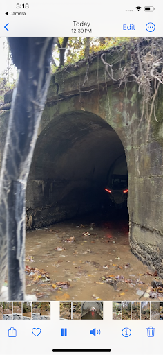 media thumbnail 2